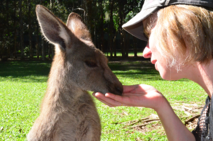 Roo Heaven (Steve Irwin Zoo)