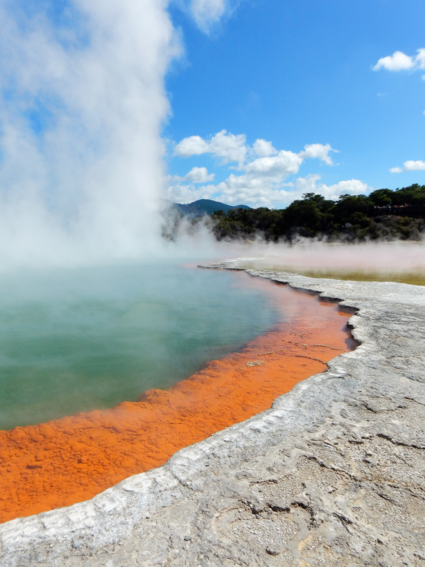 "The key to what you see lies below the surface" - Rotorua, New Zealand.