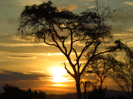 Na een mooie gamedrive een schitterende zonsondergang in Oeganda