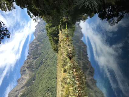 Spiegeltje-spiegeltje