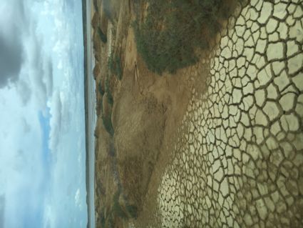 Semi-desert of La Guajira