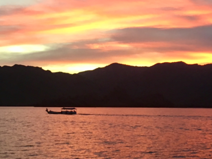 Wat is het toch mooi