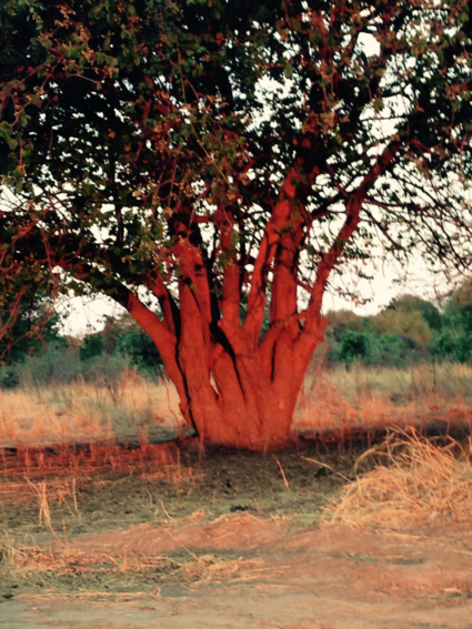 Lekker in de avondzon!