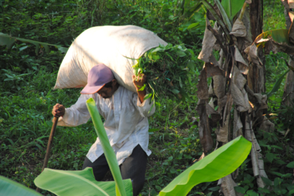 You do what you have to do