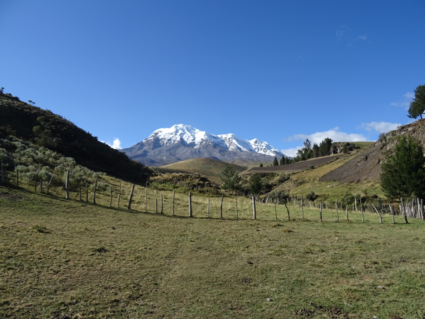 Uitzicht op de Chimborazo