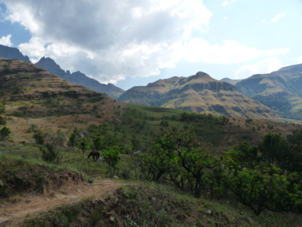 Prachtige Drakensberg