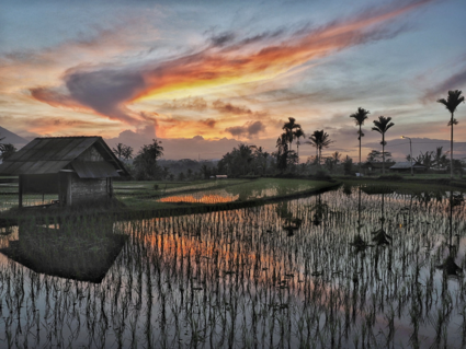 Bali, Sunrise over the rice fields