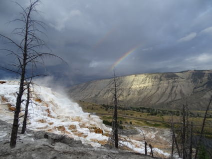 Rainbow at Mammoth Springs, Yellowstone