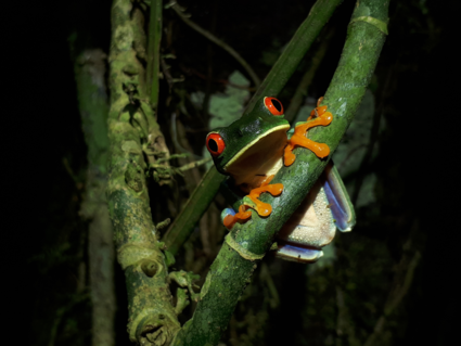 Natuurschoon in Costa Rica