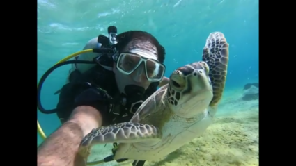 Een selfie met een schildpad (zonder hem aan te raken) - Salt Pier