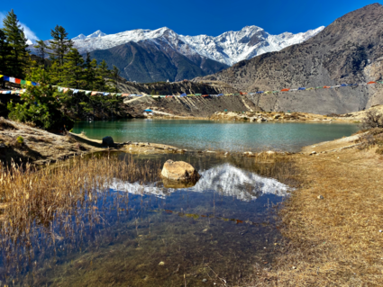 Himalayan Reflections