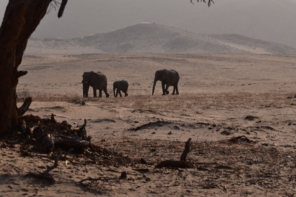 Travelling towards peace