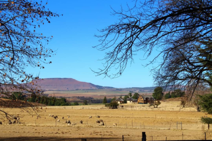 Platteland zuid Afrika