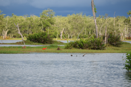 stilte voord de storm