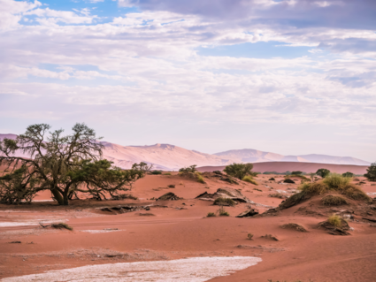 Surrealistisch landschap in Sossusvlei Namibie